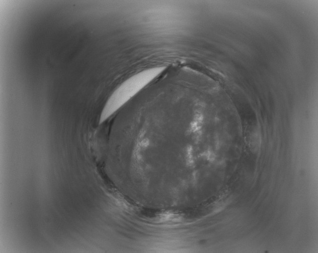 X0000071760319200607150009