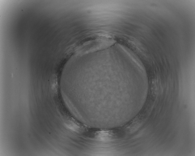 X0000071760320200607150009