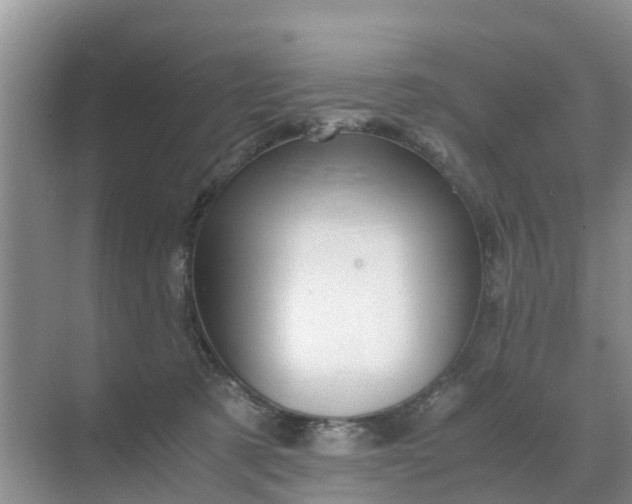 X0000071760321200607150009