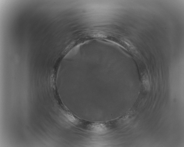 X0000071760322200607150009