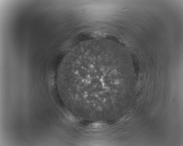 X0000071760323200607150009