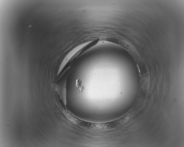 X0000071760329200607150009