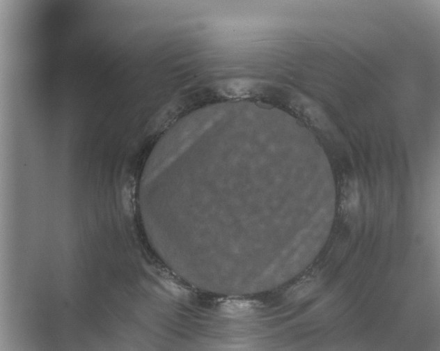 X0000071760332200607150009