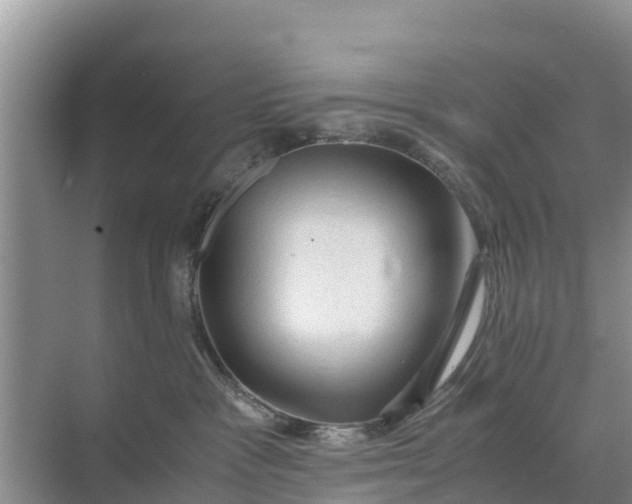 X0000071760333200607150009