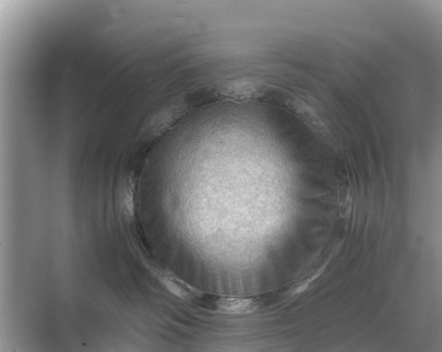 X0000071760334200607150009