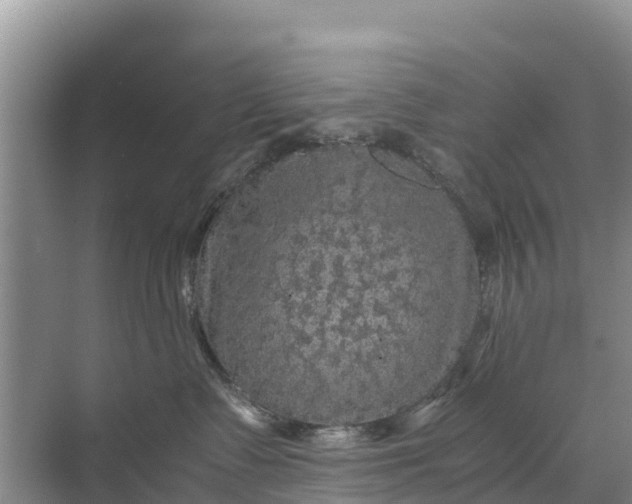 X0000071760335200607150009