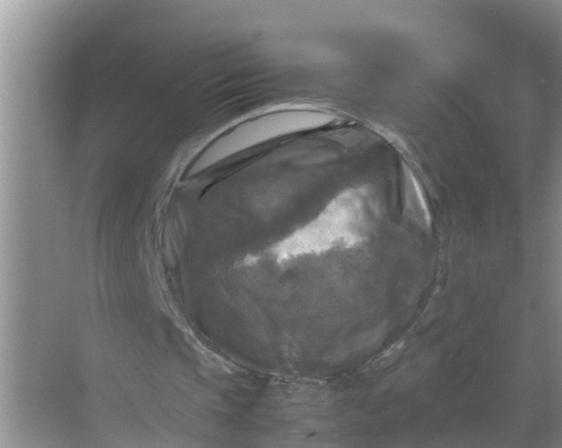 X0000071760337200607150008