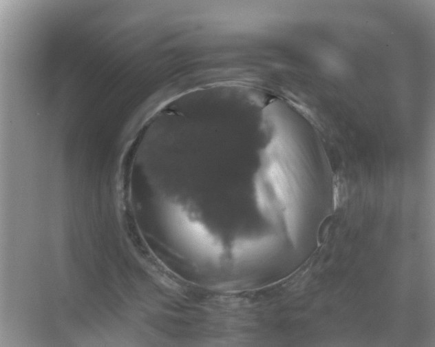 X0000071760339200607150008