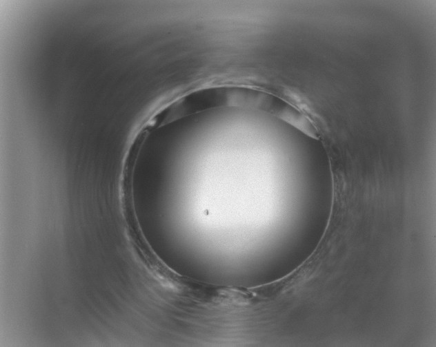 X0000071760340200607150008