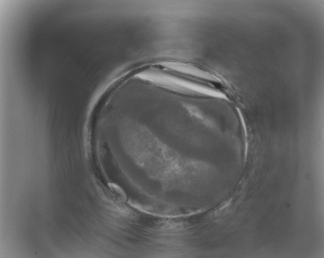 X0000071760343200607150008