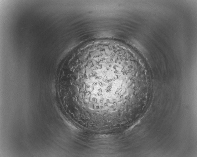 X0000071760345200607150008