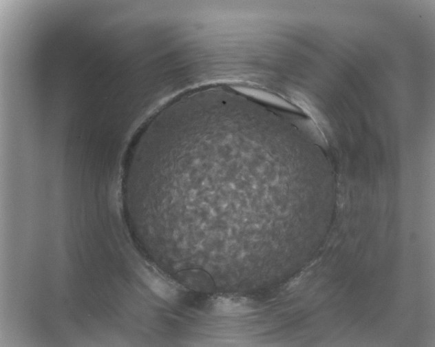 X0000071760346200607150008