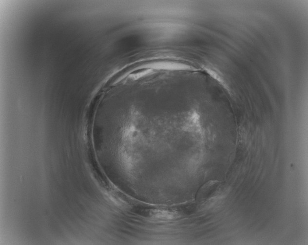 X0000071760347200607150008