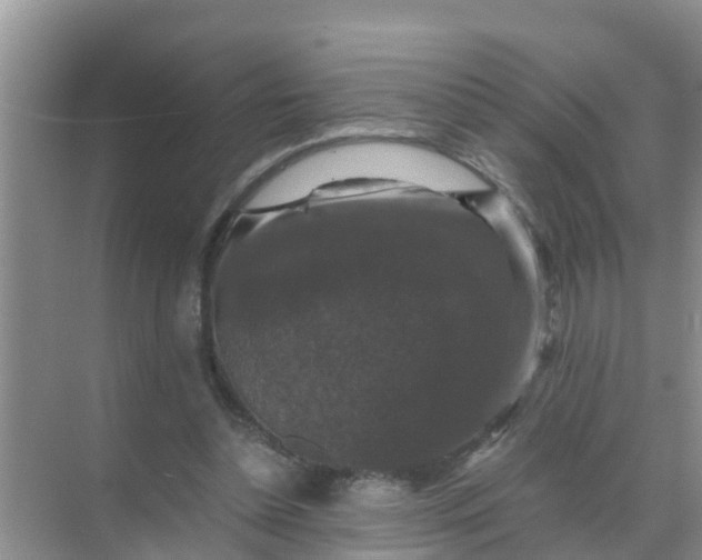 X0000071760348200607150008