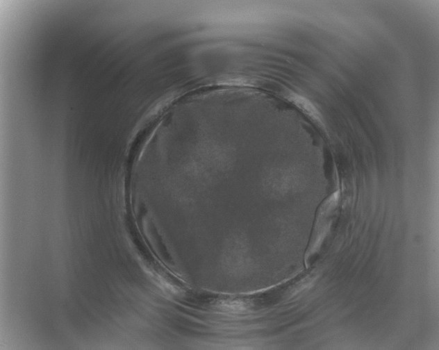 X0000071760349200607150008