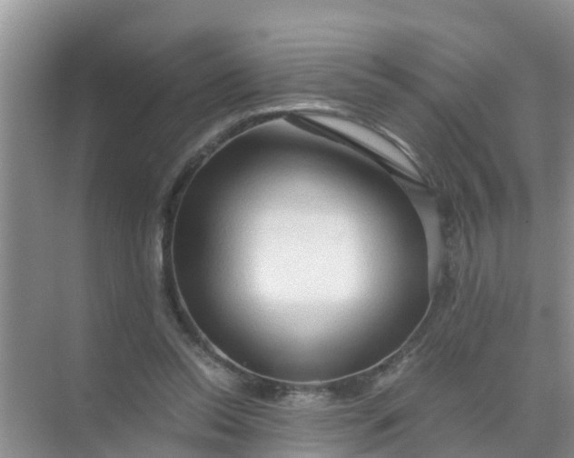 X0000071760350200607150008