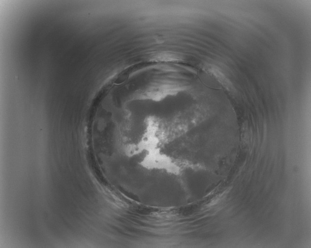 X0000071760351200607150008