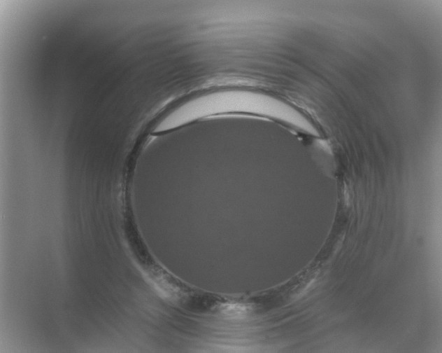 X0000071760352200607150008