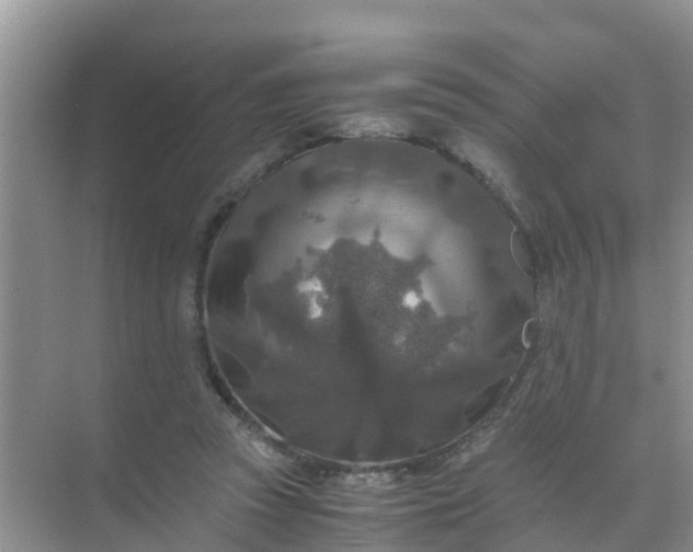 X0000071760353200607150008