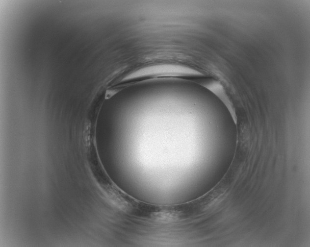 X0000071760356200607150008