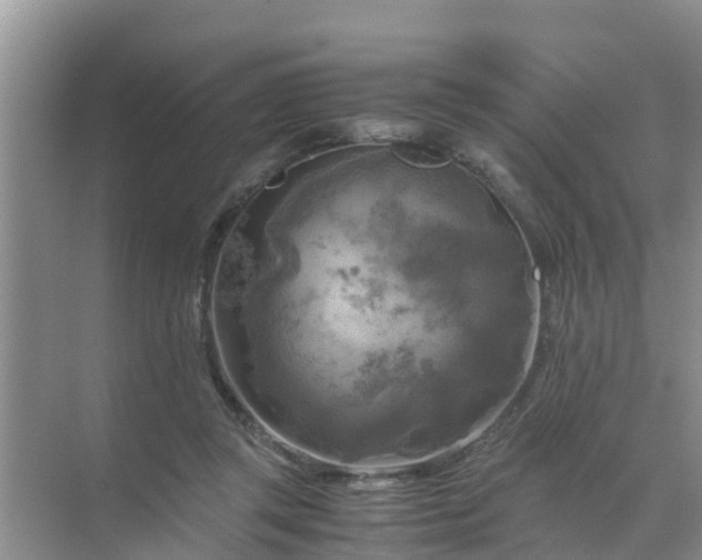 X0000071760357200607150008