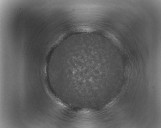 X0000071760358200607150008