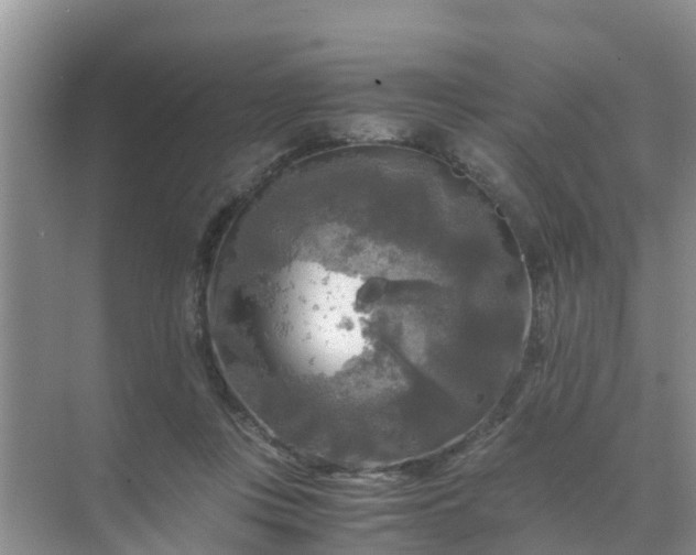 X0000071760359200607150008