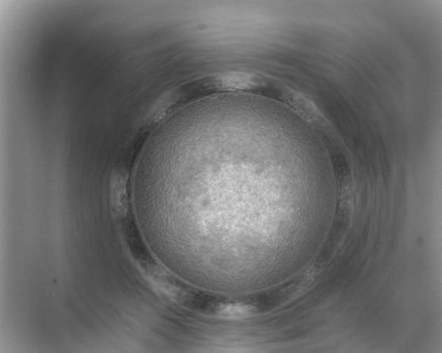 X0000071760360200607150008