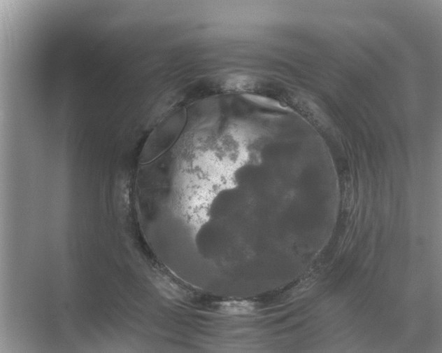 X0000071760363200607150008