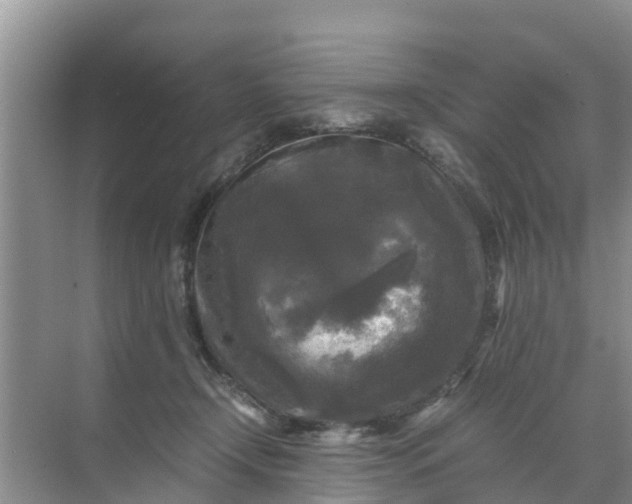 X0000071760366200607150008