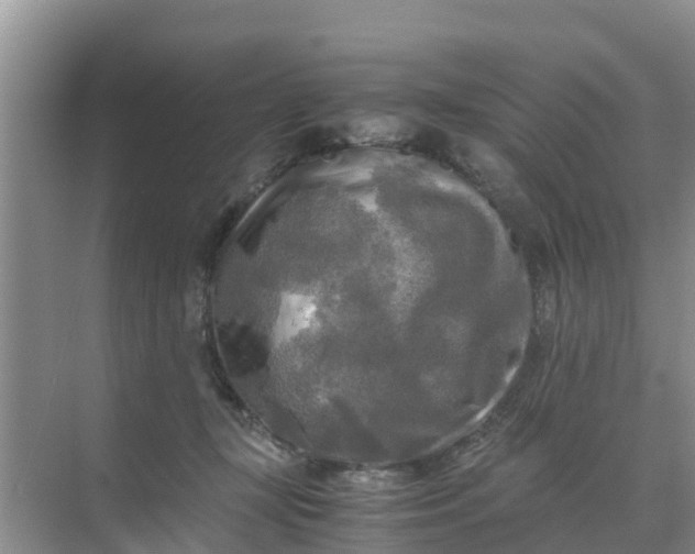 X0000071760367200607150008