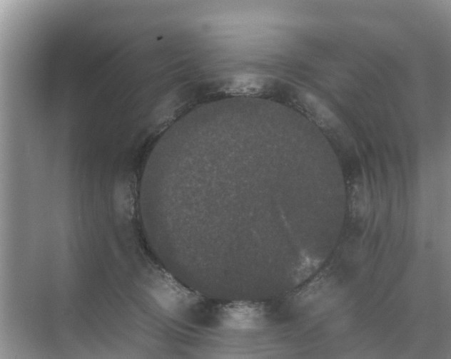 X0000071760370200607150008