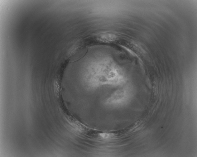 X0000071760371200607150008