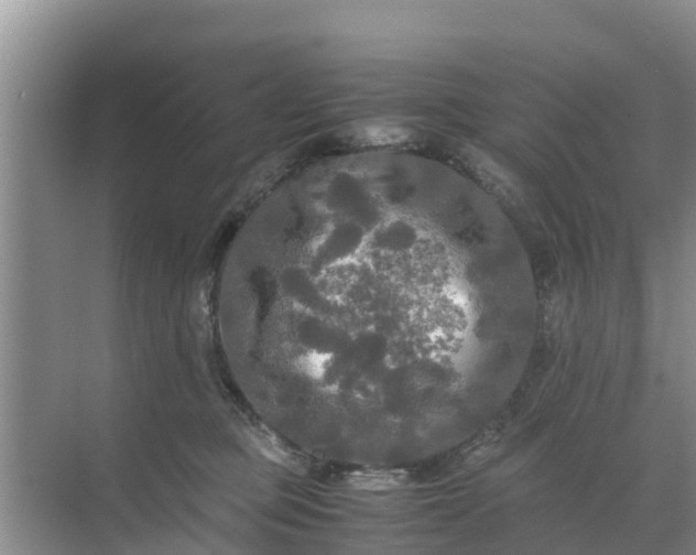 X0000071760373200607150008