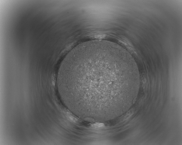 X0000071760374200607150008