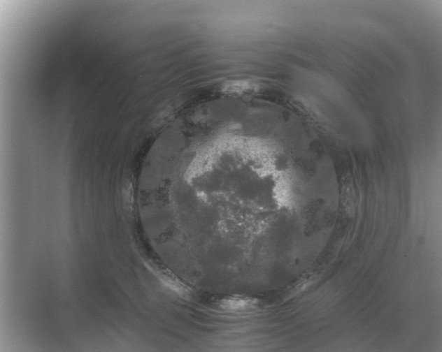 X0000071760375200607150008