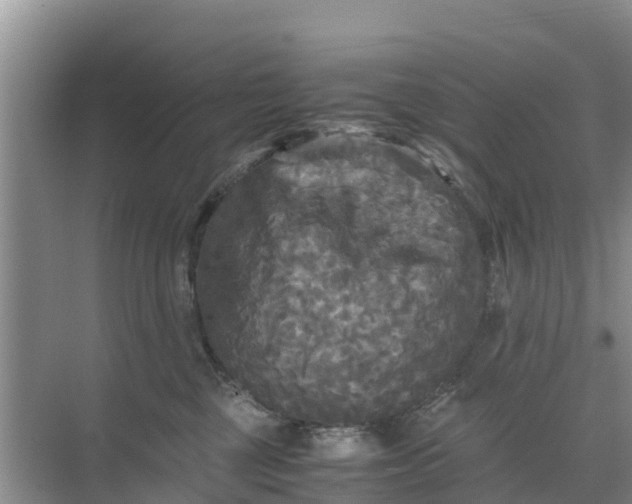 X0000071760377200607150008