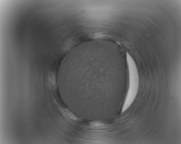 X0000071760380200607150009