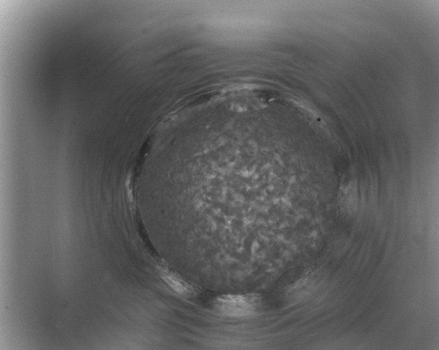 X0000071760381200607150009