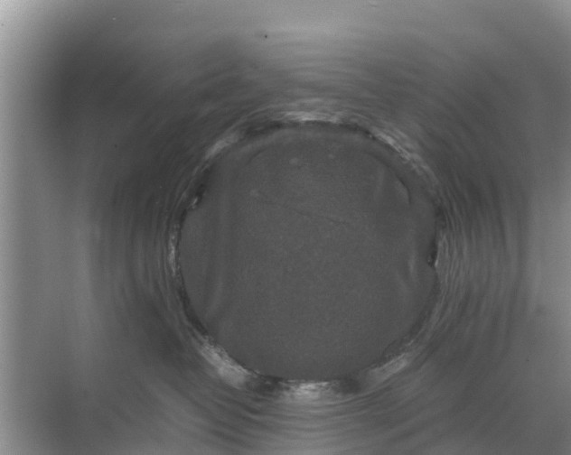 X0000071760382200607150009