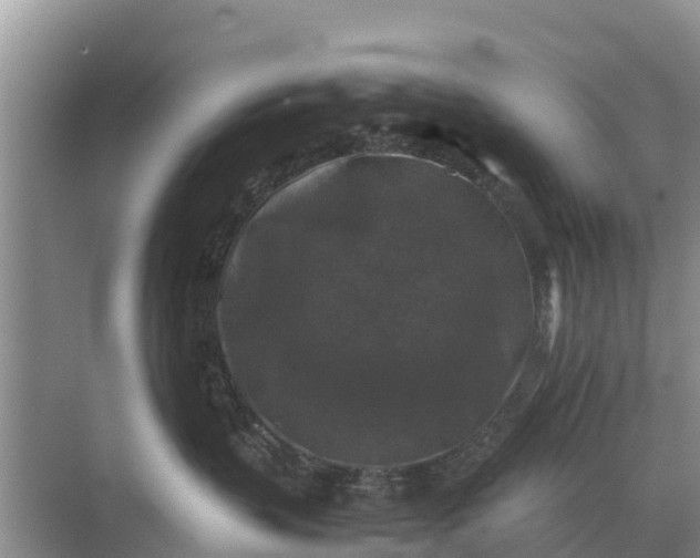 X0000071760383200607150009