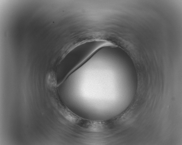 X0000071760384200607150009