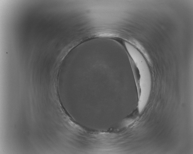 X0000071760385200607150008