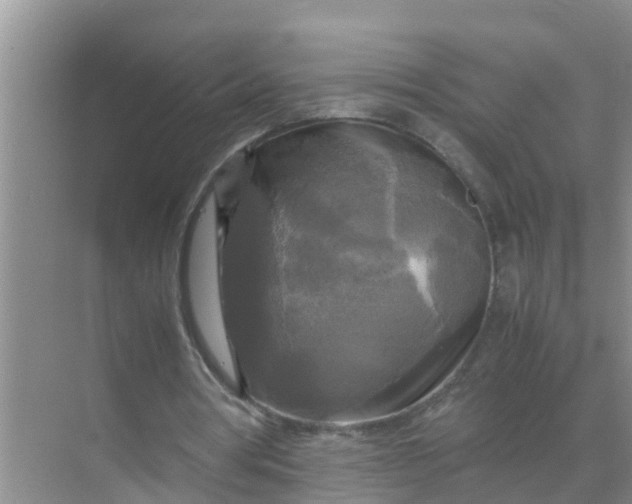 X0000071760386200607150008