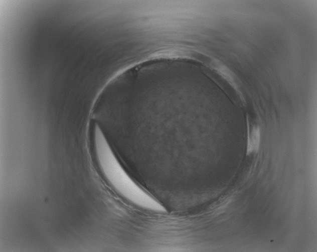 X0000071760387200607150008