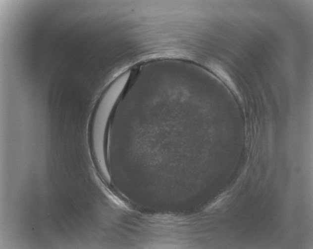 X0000071760389200607150008