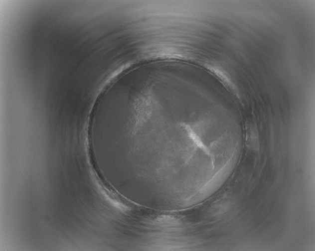 X0000071760390200607150008