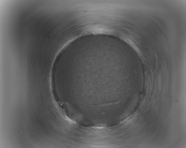 X0000071760391200607150008