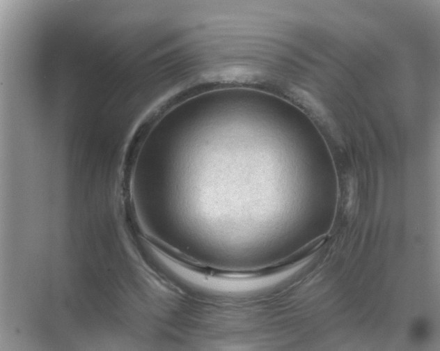 X0000071760392200607150008