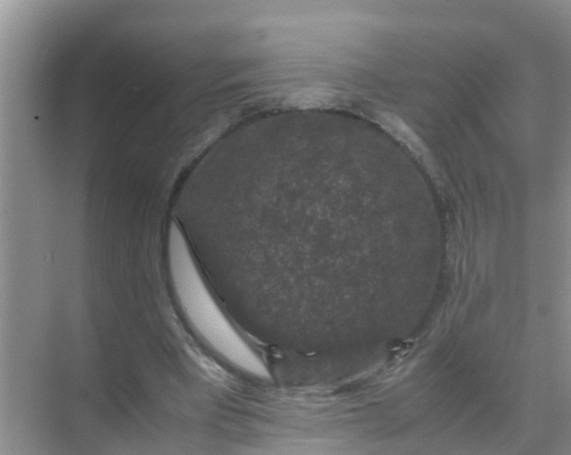 X0000071760393200607150008